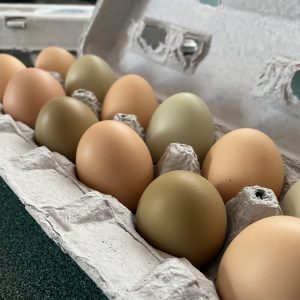 Smoky Mountain Farmhouse Farm Fresh Eggs