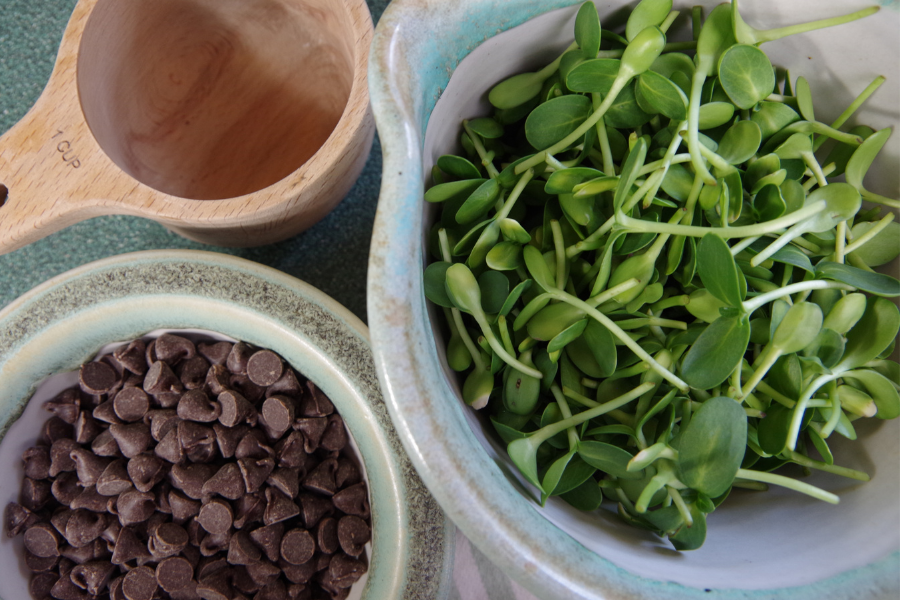 Ingredients for Chocolate Covered Sunflower Microgreens